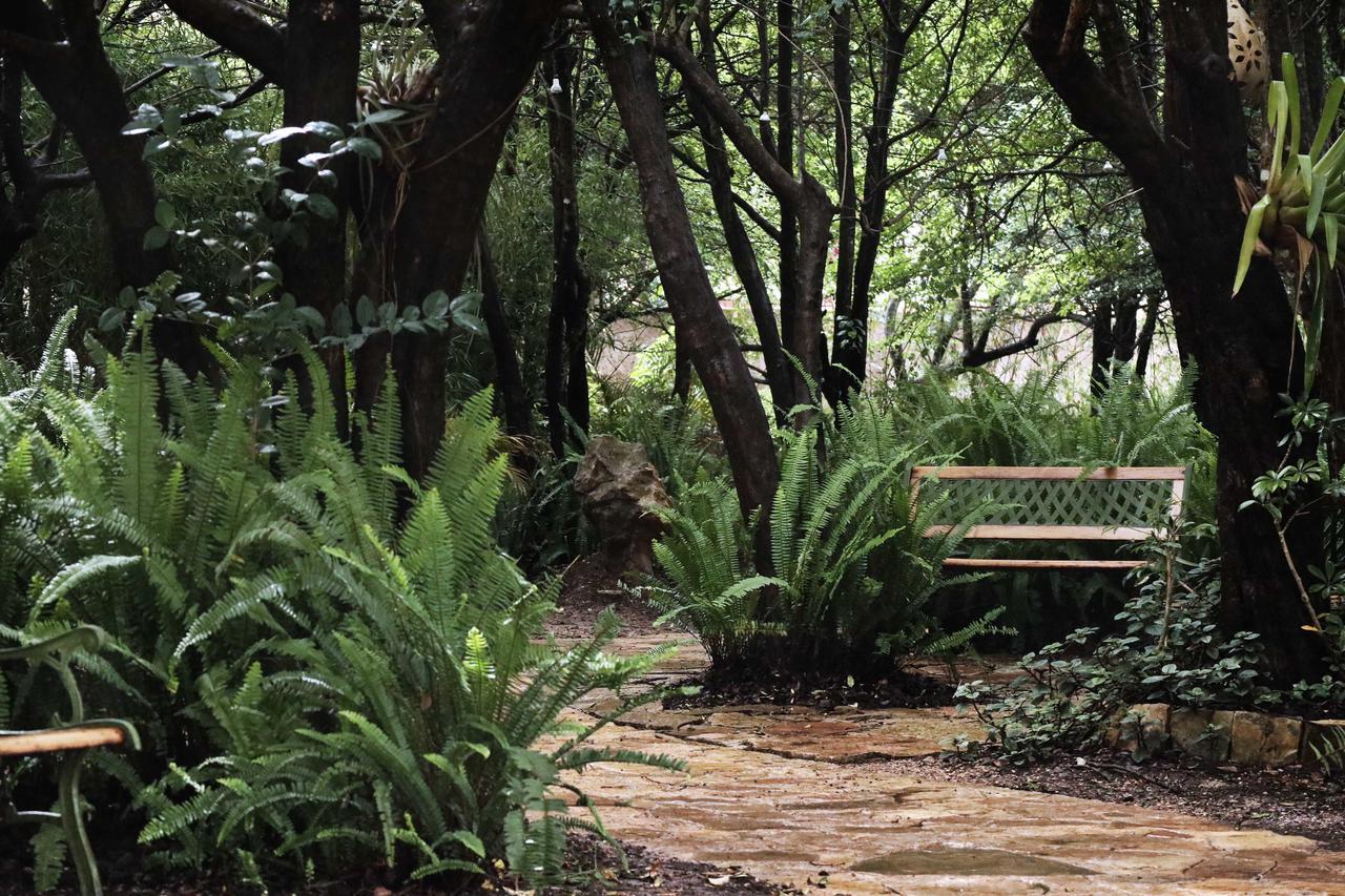 Hotel Bosques Del Sol Suites San Cristóbal de Las Casas エクステリア 写真
