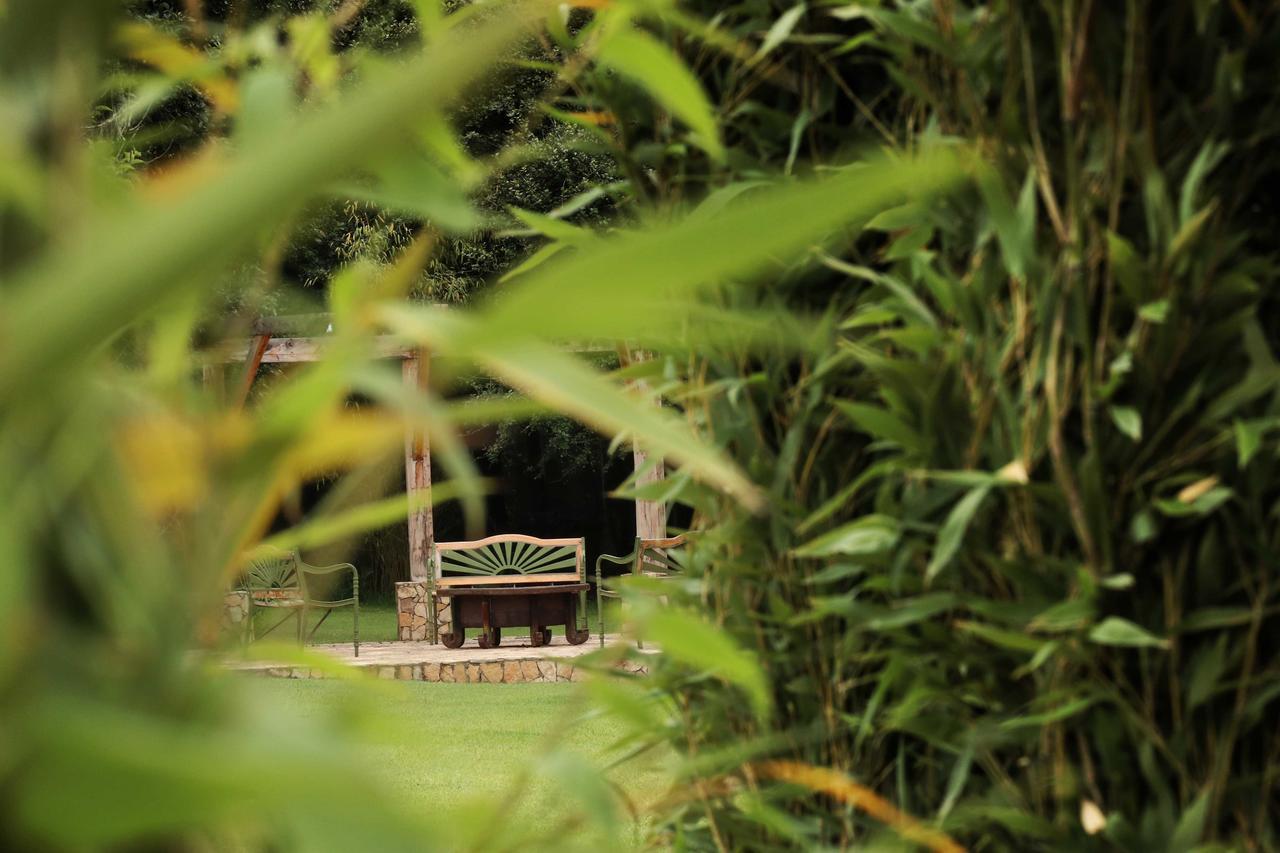 Hotel Bosques Del Sol Suites San Cristóbal de Las Casas エクステリア 写真